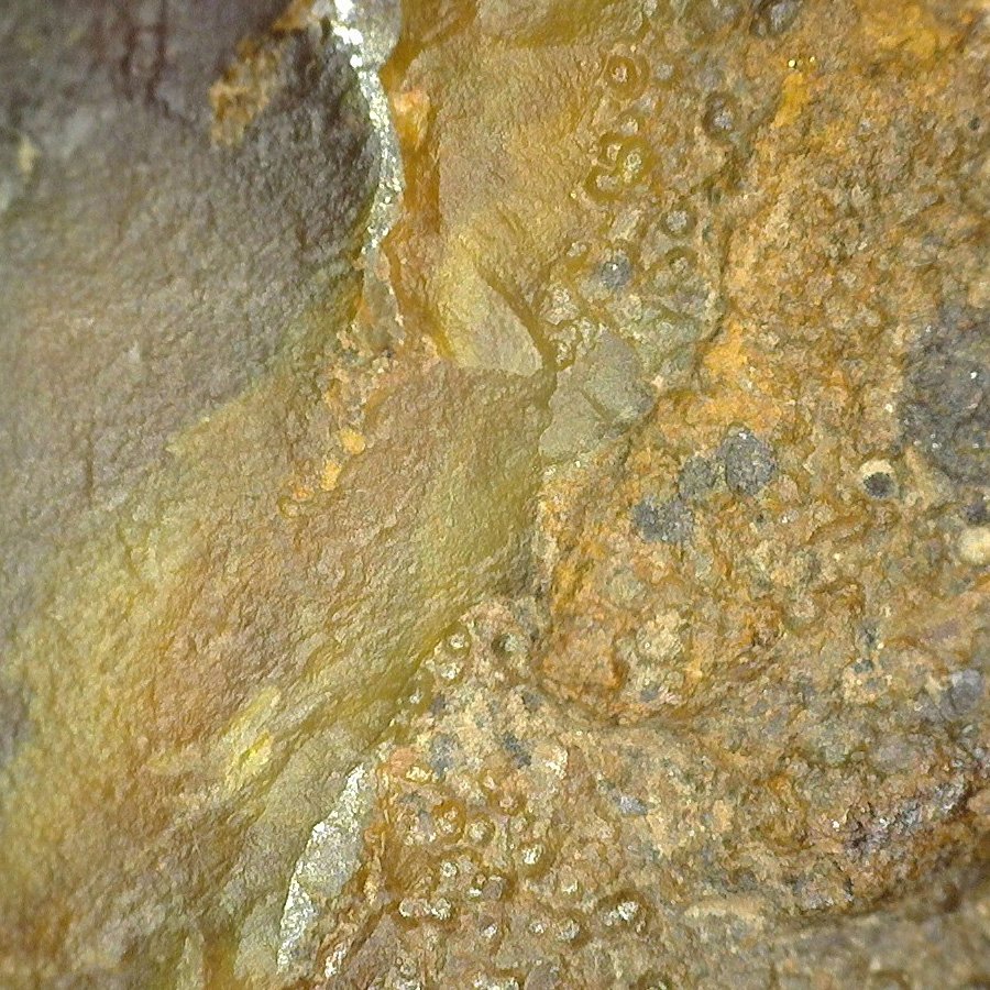 SA-4-8-02 CortexTransition50xChalcVisible