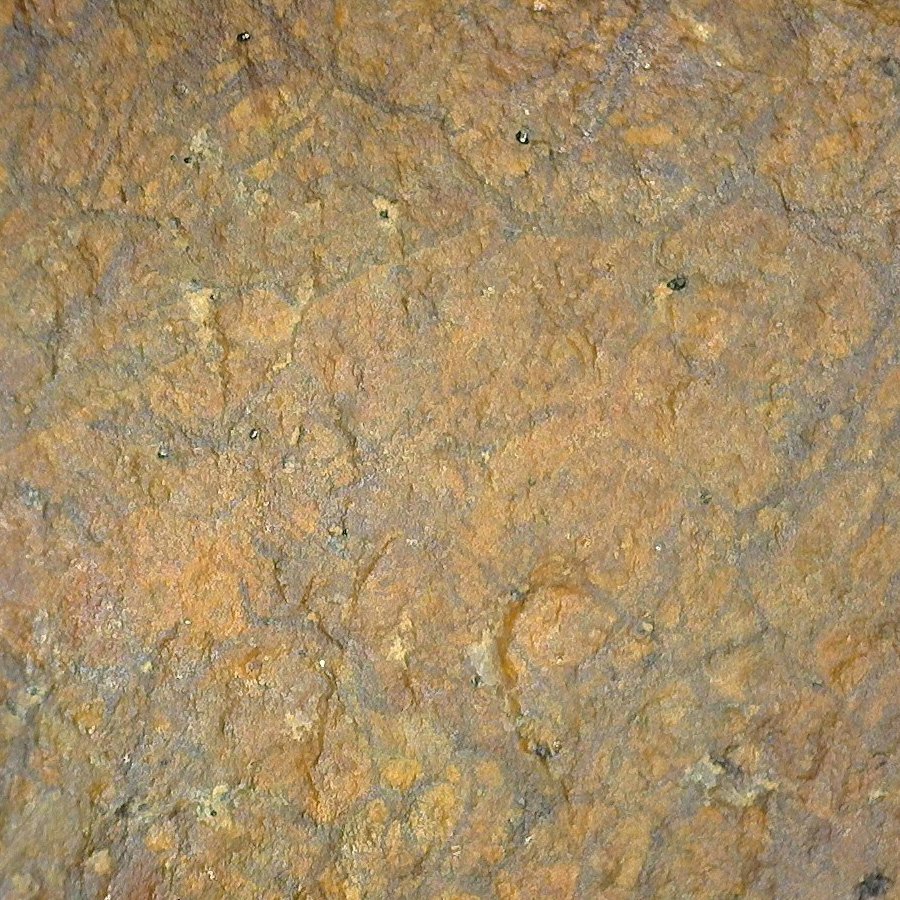 SA-4-8-02 Unweathered50x