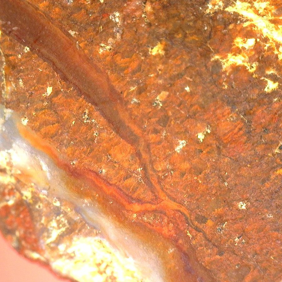 SA4804 unweathered50x