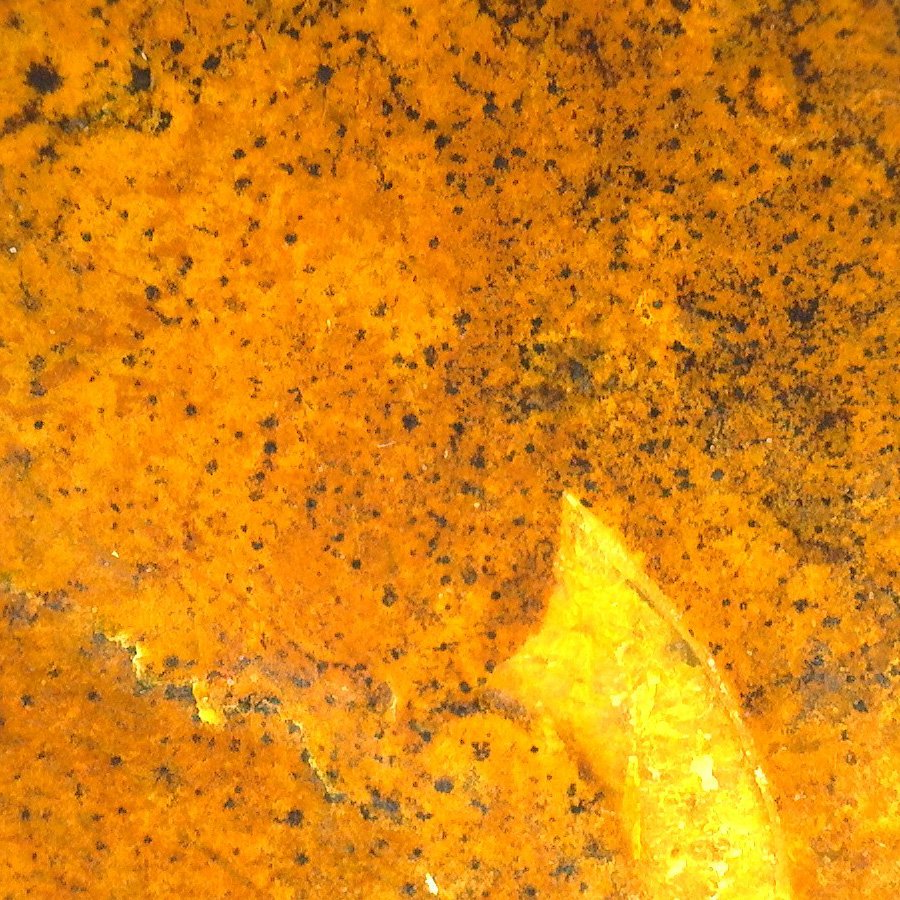 SA5101 poss.semi-weathered50xA